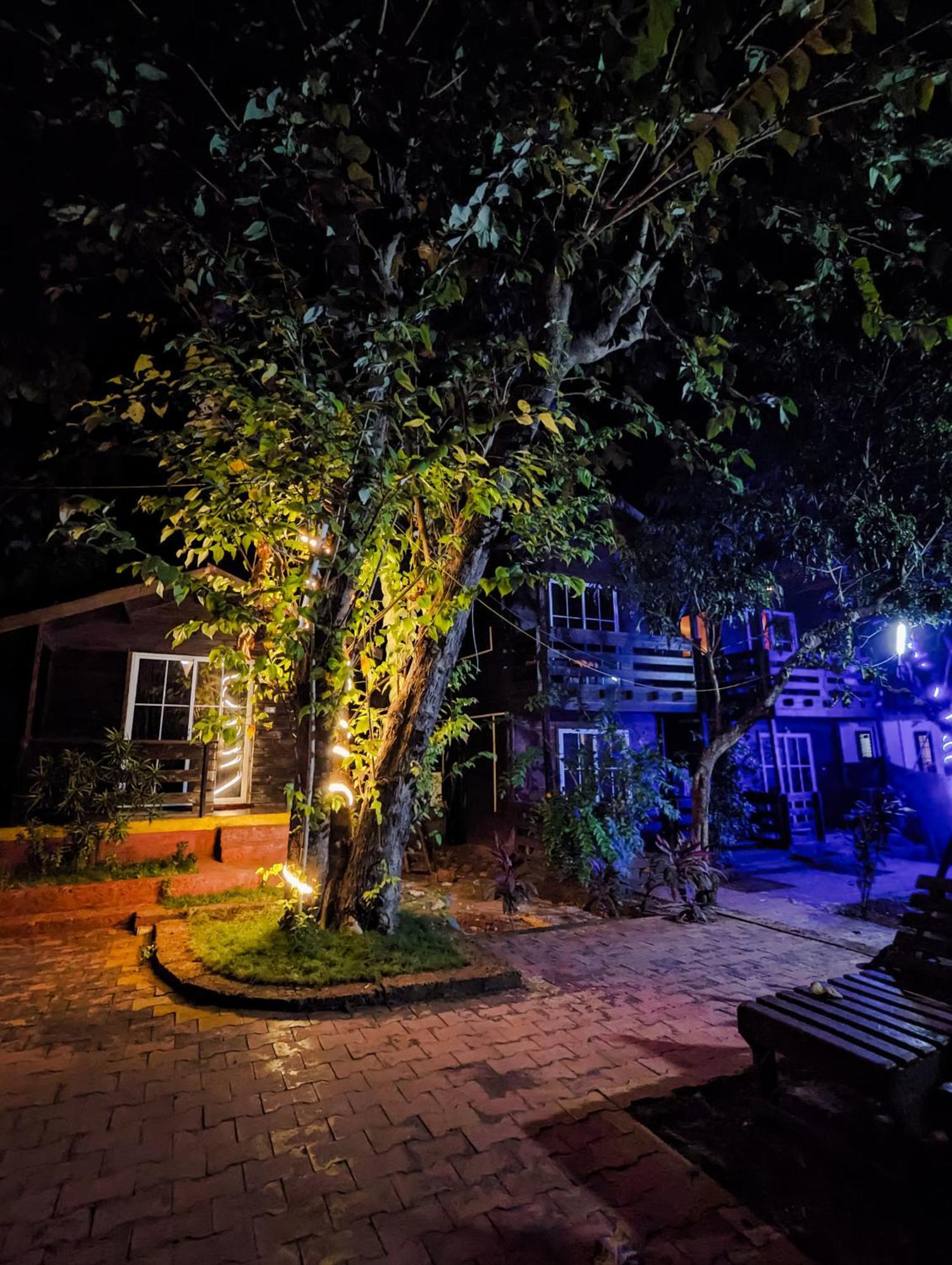 Greenland Cottage'S ארמבול מראה חיצוני תמונה